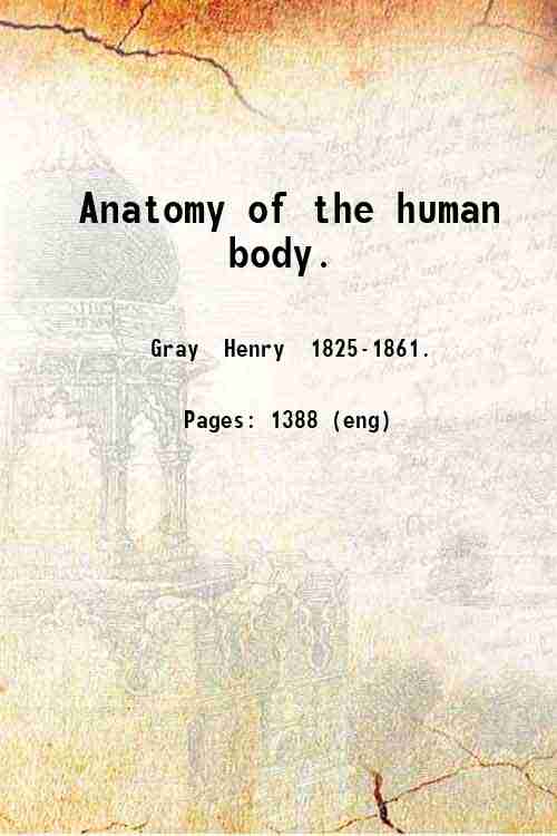 Anatomy of the human body. 
