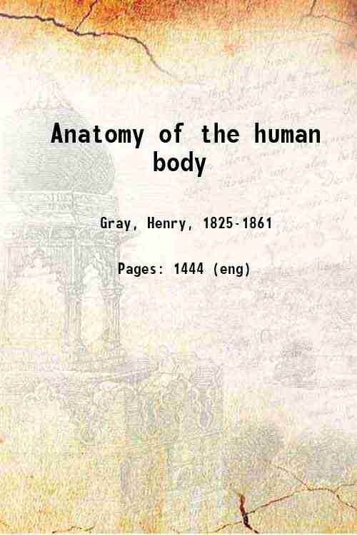 Anatomy of the human body 